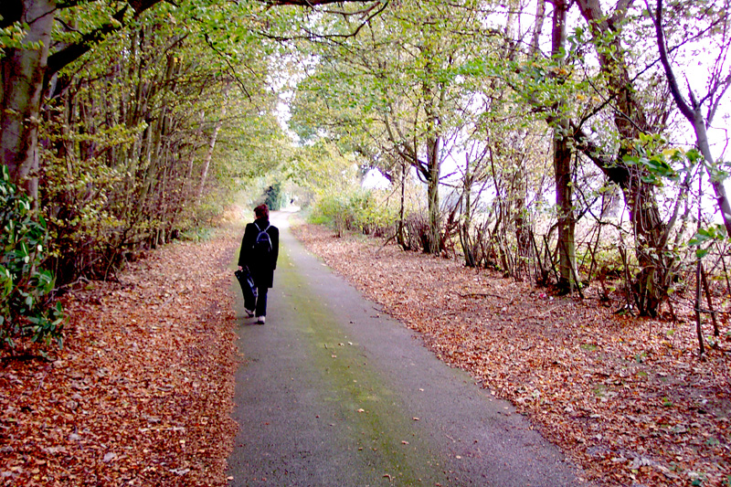 Roffey Park drive 2004